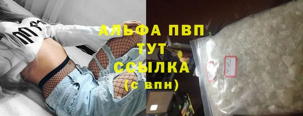 индика Баксан