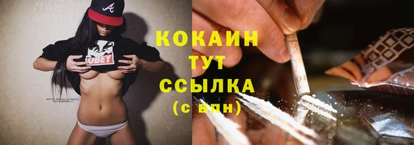 индика Баксан