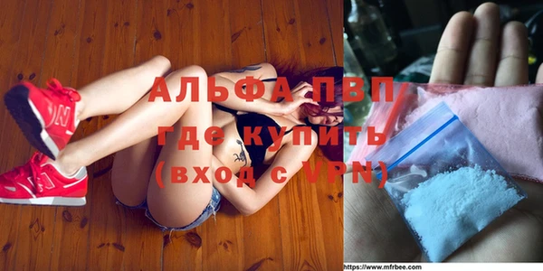 индика Баксан