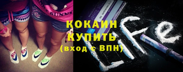 индика Баксан
