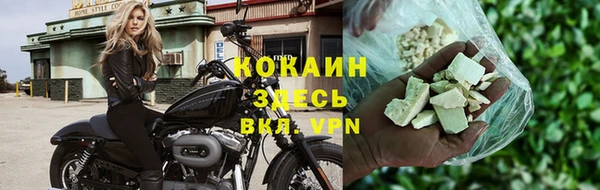 индика Баксан