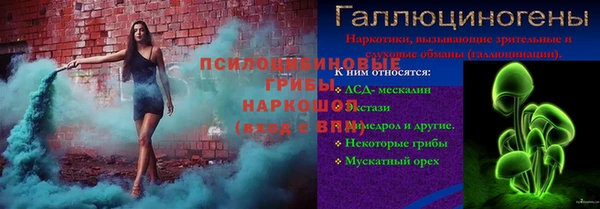 индика Баксан
