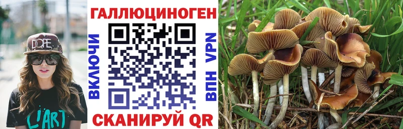 Псилоцибиновые грибы Psilocybine cubensis  где купить наркоту  блэк спрут сайт  Кондопога 